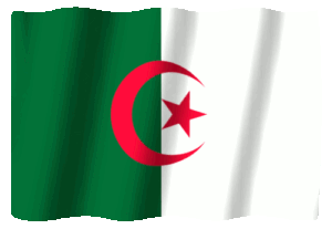 blendertimer-algeria-176
