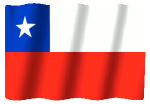 blendertimer-chile-313