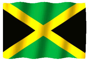 blendertimer-jamaica-458