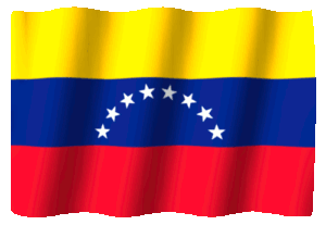 18-39-26-541_512-venezuela